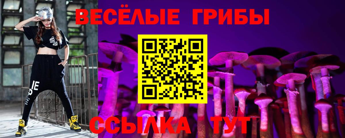 Галлюциногенные грибы GOLDEN TEACHER  Псилоцибиновые грибы ЛСД  Вход с VPN  Киржач 
